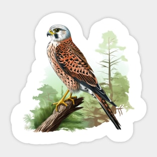 Kestrel Sticker